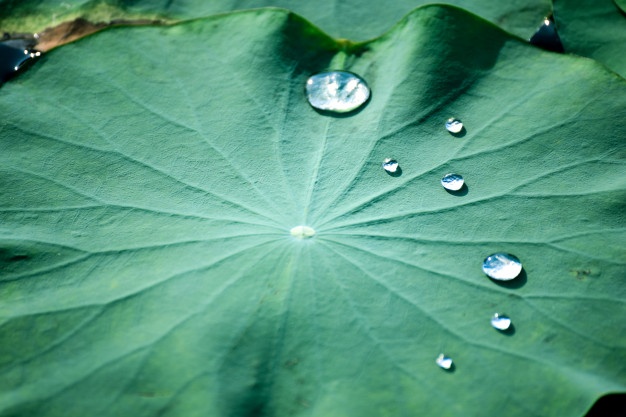 This image has an empty alt attribute; its file name is น้ำยาเคลือบใสกันซึม-คืออะไร.jpg