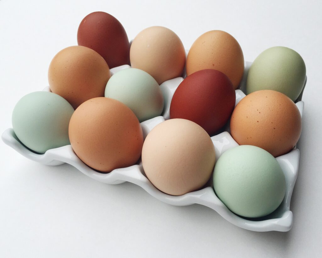 This image has an empty alt attribute; its file name is ชนิดของฟิล์มสี-คืออะไร3-1024x820.jpg