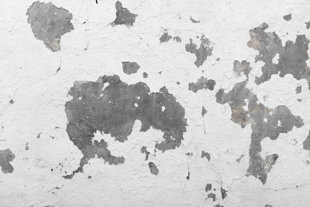 สกิมผนัง